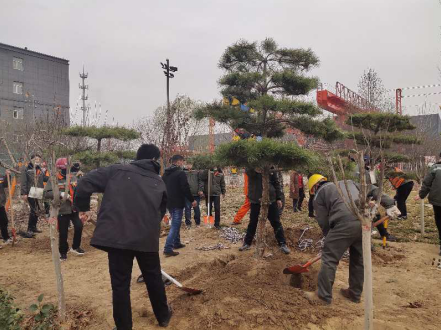 1591839348765793.png image.png